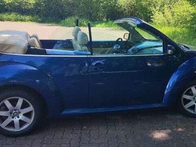 VW Beetle