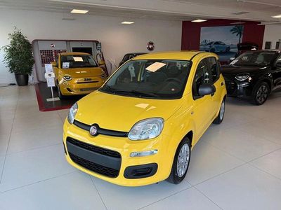 Neu Fiat Panda Icon 65 PS (47 kW) 2026 Gelb Kleinwagen