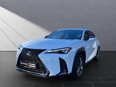 Gebraucht Lexus UX 250h Sport Line 184 PS (135 kW) 2023 Weiß SUV