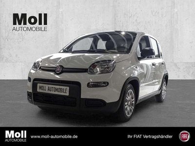 Gebraucht Fiat Panda 69 PS (50 kW) 2025 Gelato weiß Kleinwagen
