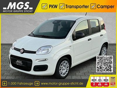 Gelato weiß Neu 2025 Fiat Panda Pop Kleinwagen | 14.950 € (Fairer Preis)