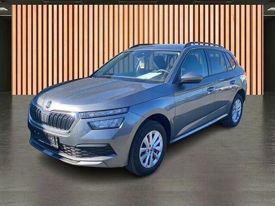 Gebraucht Skoda Kamiq Tour 110 PS (80 kW) 2024 Graphite grau SUV