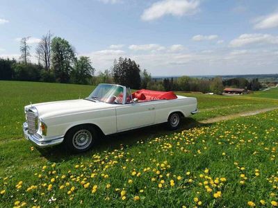 gebraucht Mercedes 280 SE