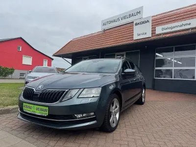 Gebraucht Skoda Octavia Style 150 PS (110 kW) 2019 Grau Kombi