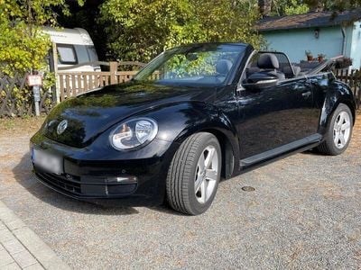 VW Beetle
