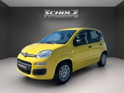 Gebraucht Fiat Panda Pop 65 PS (47 kW) 2026 Positano gelb Kleinwagen