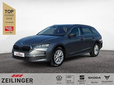 Gebraucht Skoda Octavia