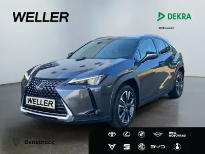 Gebraucht Lexus UX 250h 184 PS (135 kW) 2023 Grau SUV