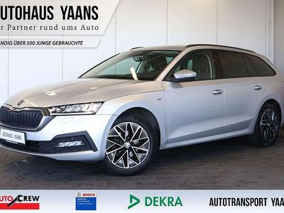 Gebraucht Skoda Octavia Clever 150 PS (110 kW) 2022 Silber Kombi