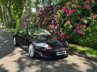 Gebraucht Jaguar XK Portfolio 385 PS (283 kW) 2011 Cabrio
