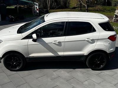 Second-hand Ford Ecosport Trend 125 CP (91 kW) 2016 Alb SUV