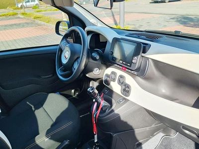 Usata Fiat Panda Cross Cross 69 CV (50 kW) 2025 Nero Utilitaria