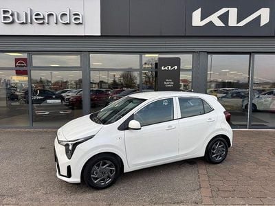 Neu Kia Picanto Vision 68 PS (50 kW) 2025 Weiß Kleinwagen