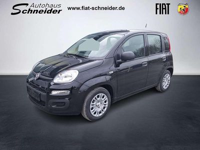 Nouă Fiat Panda Icon 65 CP (47 kW) 2026 Negru Hatchback