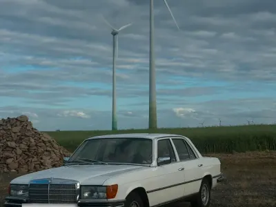 Gebraucht Mercedes 280 185 PS (136 kW) 1976 Weiß Limousine