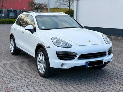 Gebraucht Porsche Cayenne 245 PS (180 kW) 2014 Weiß SUV