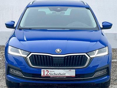 Gebraucht Skoda Octavia 150 PS (110 kW) 2020 Modra energy/energy blue Kombi
