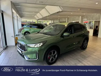 Neu Ford Kuga ST-Line X 242 PS (177 kW) 2026 Grün SUV