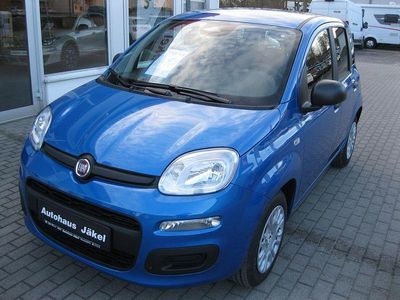Nouă Fiat Panda Icon 65 CP (47 kW) 2026 Albastru Hatchback