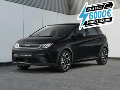 Gebraucht BYD Dolphin