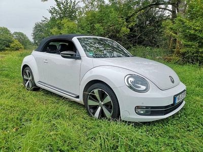 VW Beetle