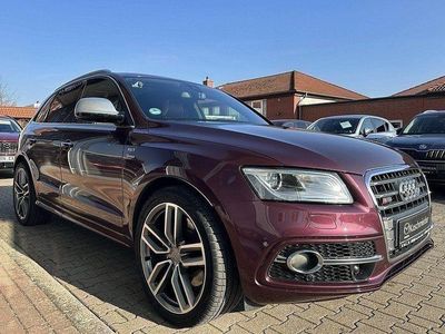 Gebraucht Audi SQ5 Sport 313 PS (230 kW) 2015 Violett SUV