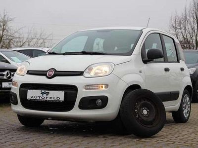 Gebraucht Fiat Panda Easy 69 PS (50 kW) 2016 Weiß Kleinwagen