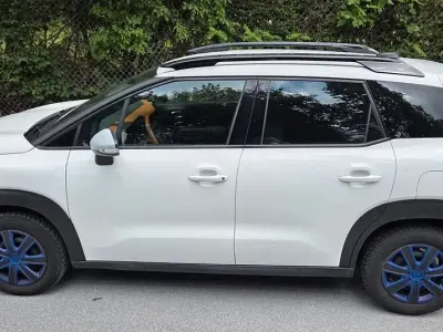 Gebraucht Citroën C3 Aircross PureTech 110 PS (80 kW) 2018 Weiß SUV