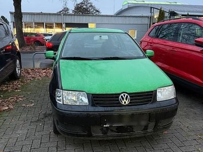 VW Polo