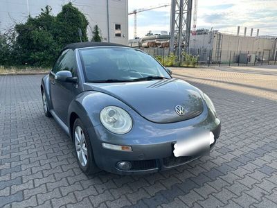 VW Beetle