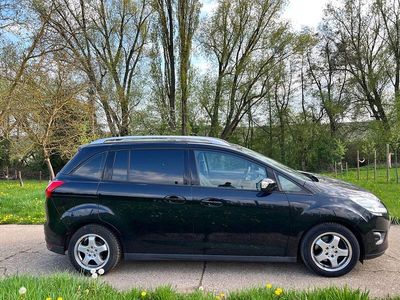 Gebraucht Ford C-MAX Titanium 125 PS (91 kW) 2014 Schwarz Van / Kleinbus