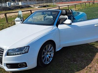 Gebraucht Audi Cabriolet Sport 190 PS (139 kW) 2010 Weiß Cabrio