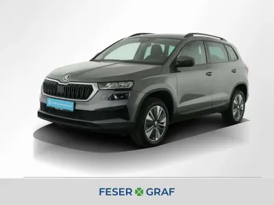 Gebraucht Skoda Karoq Ambition 150 PS (110 kW) 2023 Grau SUV