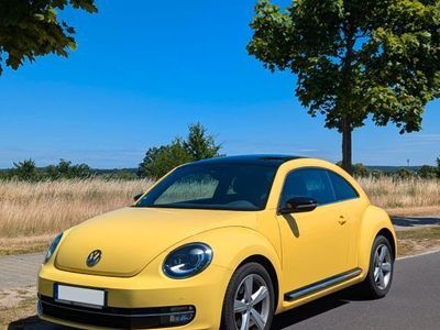 VW Beetle