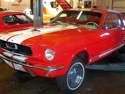 gebraucht Ford Mustang V8 1966 Zustand 2+ Deutsche Papiere H Kennzeichen