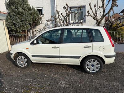 Gebraucht Ford Fusion 101 PS (74 kW) 2006 Weiß Kleinwagen