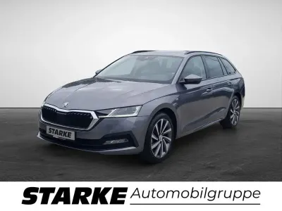 Gebraucht Skoda Octavia Ambition 150 PS (110 kW) 2022 Grau Kombi