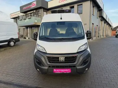 Usata Fiat Ducato 179 CV (131 kW) 2023 Bianco Furgone