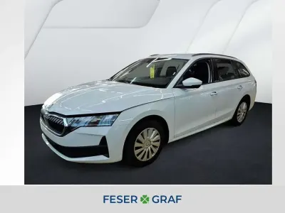Gebraucht Skoda Octavia Essence 116 PS (85 kW) 2025 Moon weiss perleffekt Kombi
