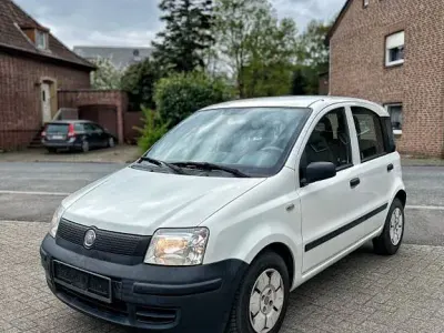 Usata Fiat Panda Active 54 CV (39 kW) 2009 Bianco Utilitaria