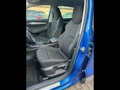Gebraucht Skoda Karoq Selection 150 PS (110 kW) 2025 Race blau (metallic) SUV