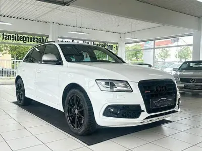 Gebraucht Audi SQ5 Advanced 313 PS (230 kW) 2015 Ibisweiß SUV