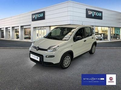 Neu Fiat Panda Cross Cross 69 PS (50 kW) 2025 Weiß Kleinwagen