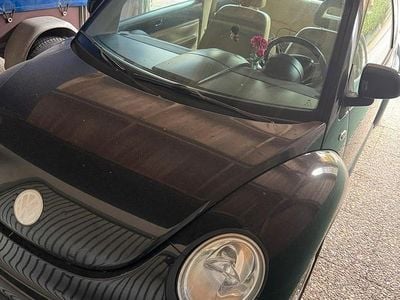 VW Beetle