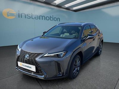 Gebraucht Lexus UX 250h Sport Line 184 PS (135 kW) 2023 Grau SUV