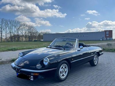 Gebraucht Alfa Romeo Spider 126 PS (92 kW) 1986 Schwarz Cabrio