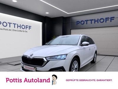 Gebraucht Skoda Octavia Style 116 PS (85 kW) 2023 Weiss Kombi