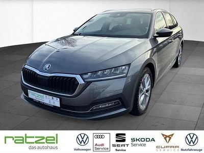 Gebraucht Skoda Octavia Style 150 PS (110 kW) 2024 Grau Kombi