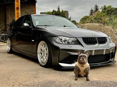 Gebraucht BMW 320 Basis 150 PS (110 kW) 2005 Grau Limousine