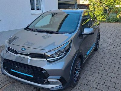Usata Kia Picanto X-Line 101 CV (74 kW) 2021 Grigio Utilitaria